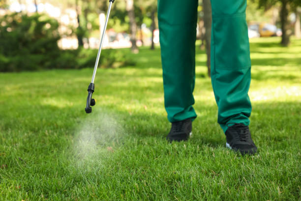 Best Residential Pest Control  in Greencastle, PA