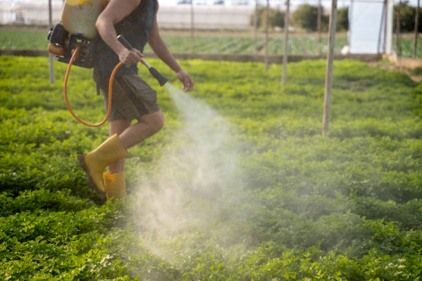 Best Affordable Pest Control Services  in Greencastle, PA