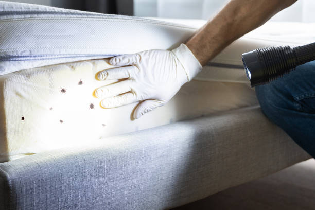 Best Flea Control Services  in Greencastle, PA