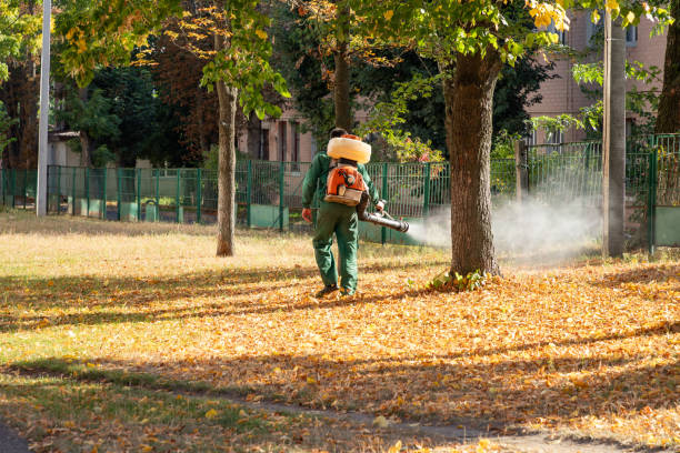 Best Mosquito Control Services  in Greencastle, PA