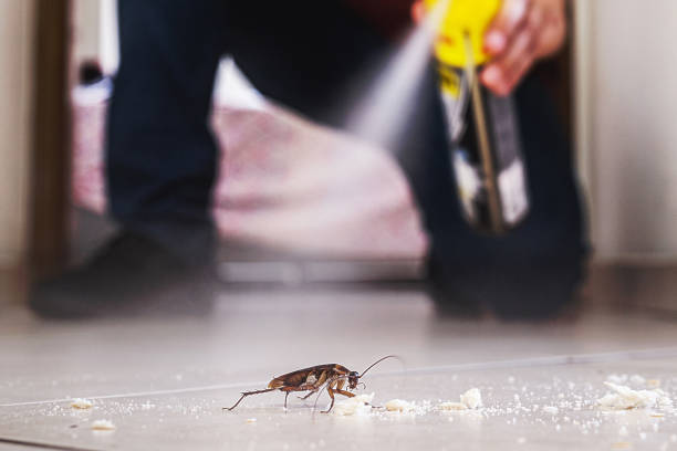 Best Pest Prevention Services  in Greencastle, PA