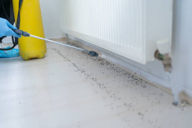 Best Commercial Pest Control Services  in Greencastle, PA