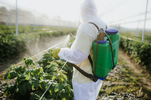 Best Best Pest Control Companies  in Greencastle, PA